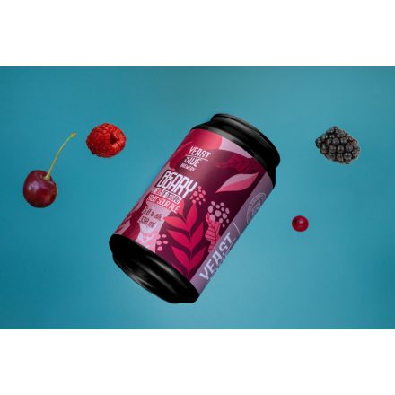 Beary 2.0 - Extra Sour Ale -Málnás-Ribizilis - Meggyes-Szedres - gyümölcsös  - 5,8 %